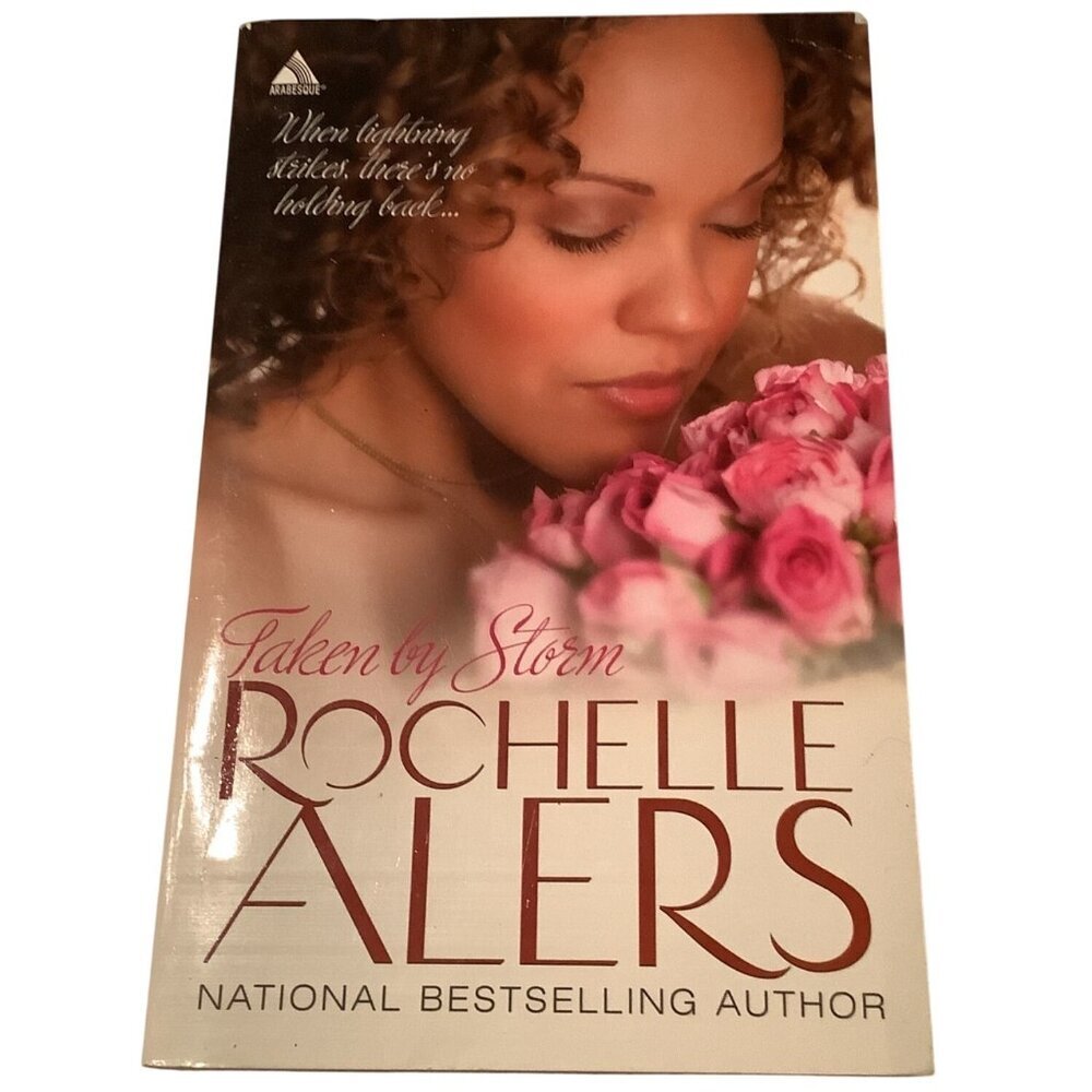 Taken By Storm By Rochelle Alers Paperback‎ 2008 Romance Novel